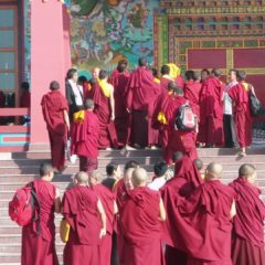 Teaching Evolution to Tibetan Monks